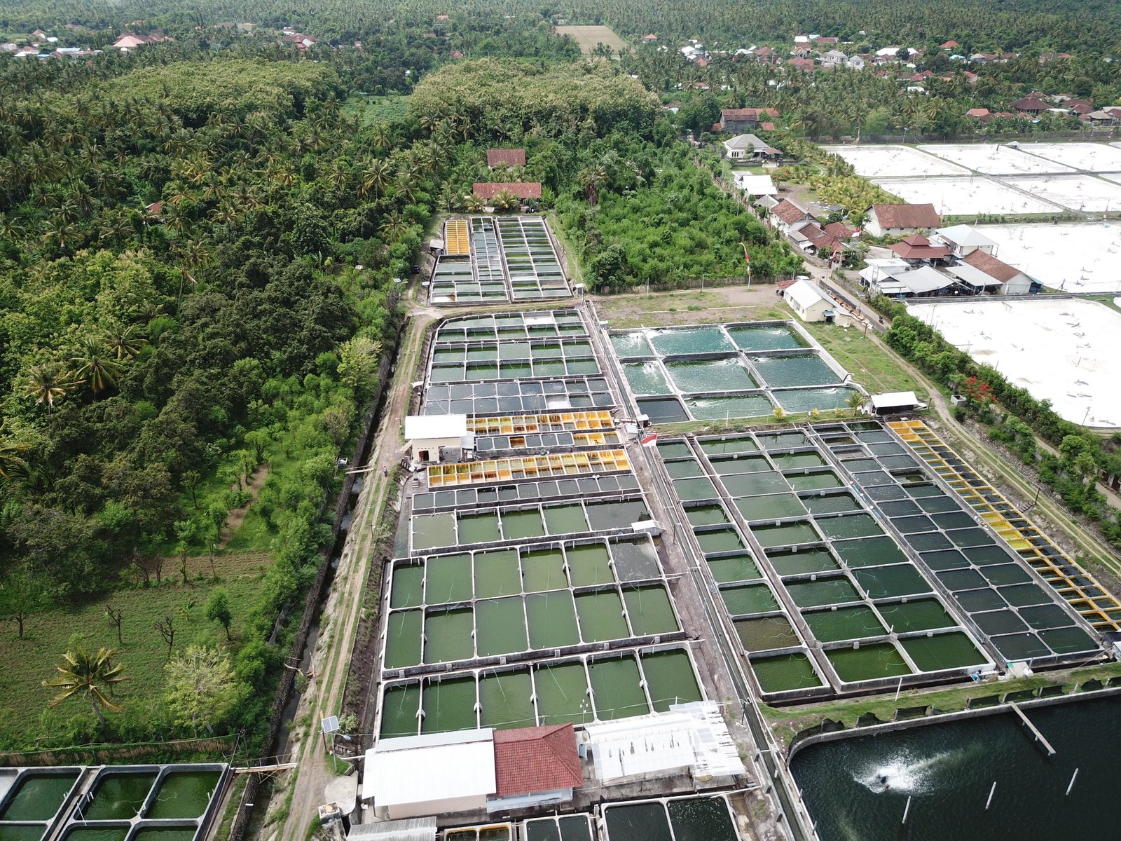 Lokasi Budidaya